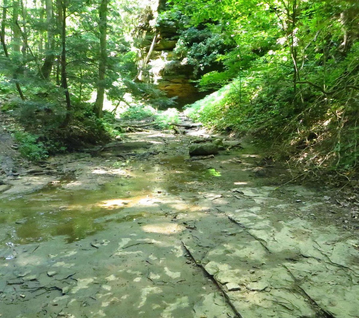 Shades State Park - All You Need to Know BEFORE You Go (2025)