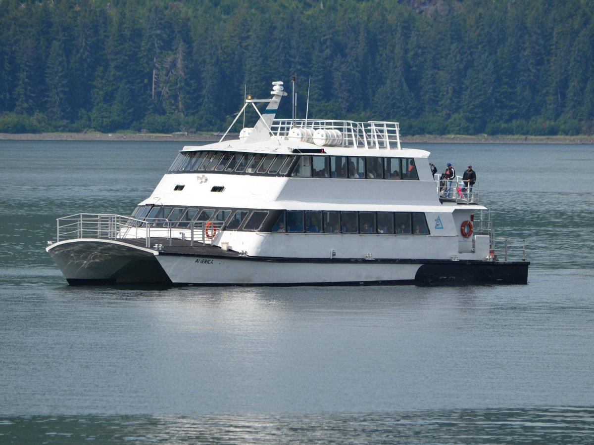 Icy Strait Point - Whale & Marine Mammals Cruise - All You Need to Know ...