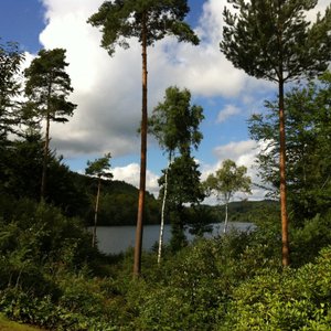 View from bedroom