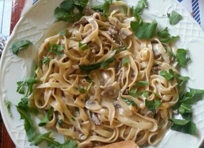 fetuccini totó
