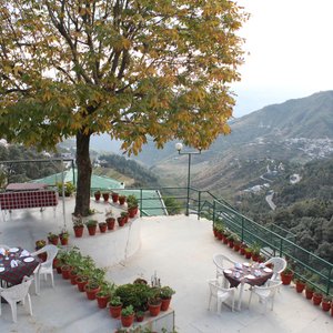 Open air dinning