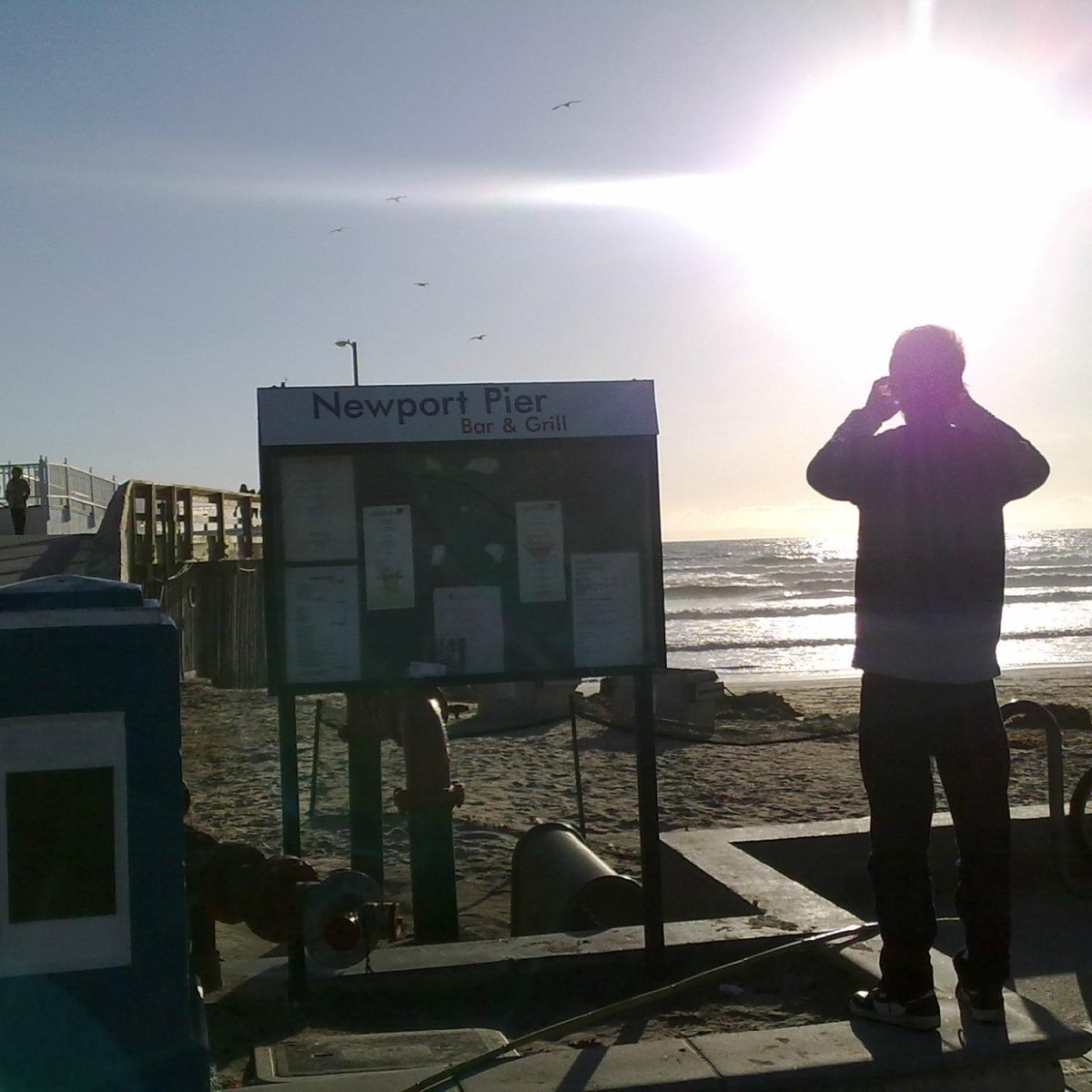 are dogs allowed at newport beach pier