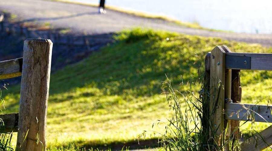 Walking the 2.5km Lake Circuit