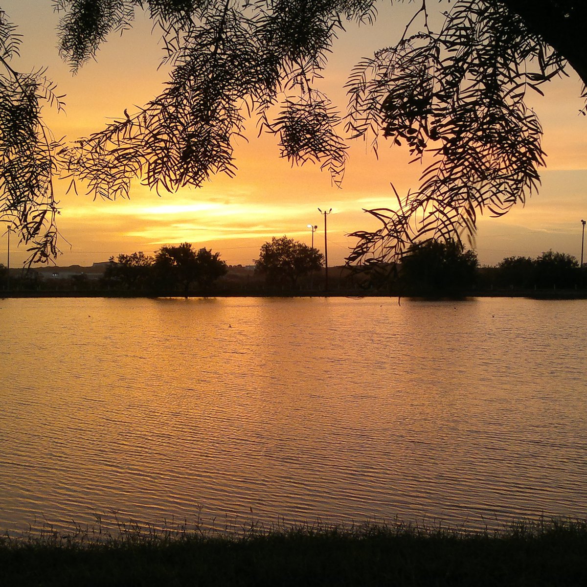 2022年 Maverick County Lake - 行く前に！見どころをチェック - トリップアドバイザー