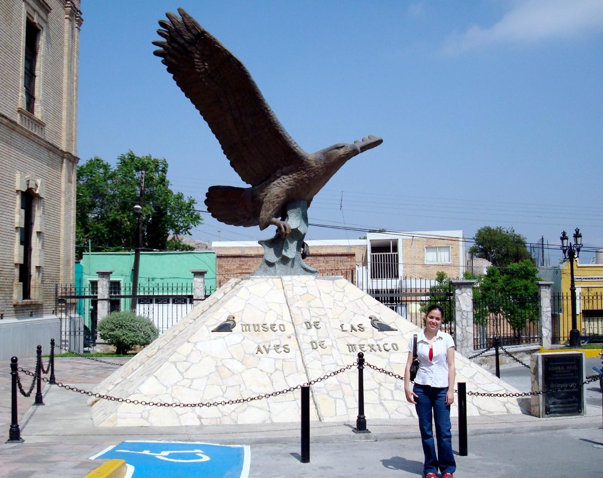 Museo de las Aves (Saltillo) - All You Need to Know BEFORE You Go