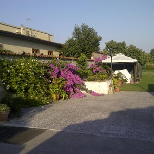 Giardino della struttura