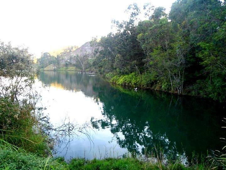 10 melhores restaurantes próximos ao Parque da Lagoa do Rizzo