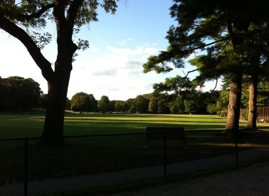 view from the playground