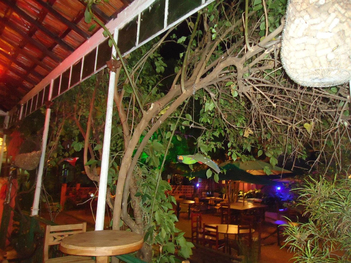 JA1000 HOTDOGUERIA & PETISCARIA, Araraquara - Menu, Prices & Restaurant  Reviews - Tripadvisor