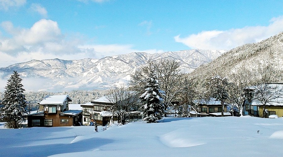 View from the doorsteps