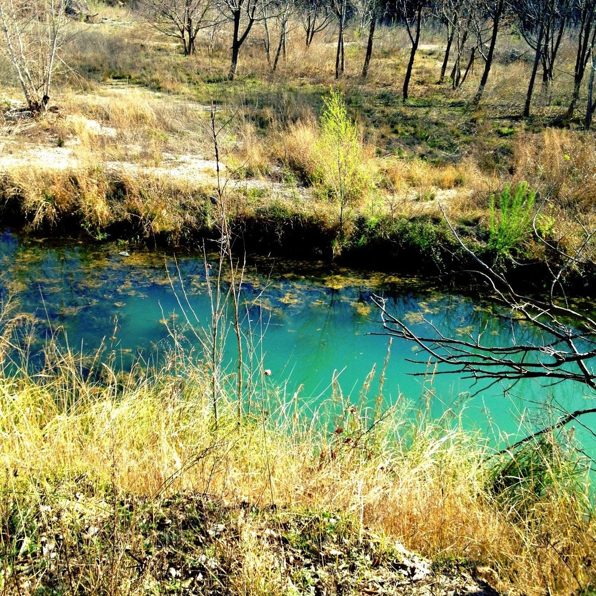 Chalk Bluff ParkPaddle Boat Rentals (Uvalde) 2022 Lo que se debe