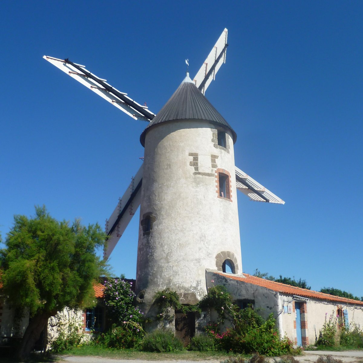 Le Moulin De Raire Sallertaine 21 All You Need To Know Before You Go Tours Tickets With Photos Tripadvisor