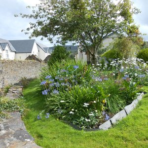 A small part of the garden