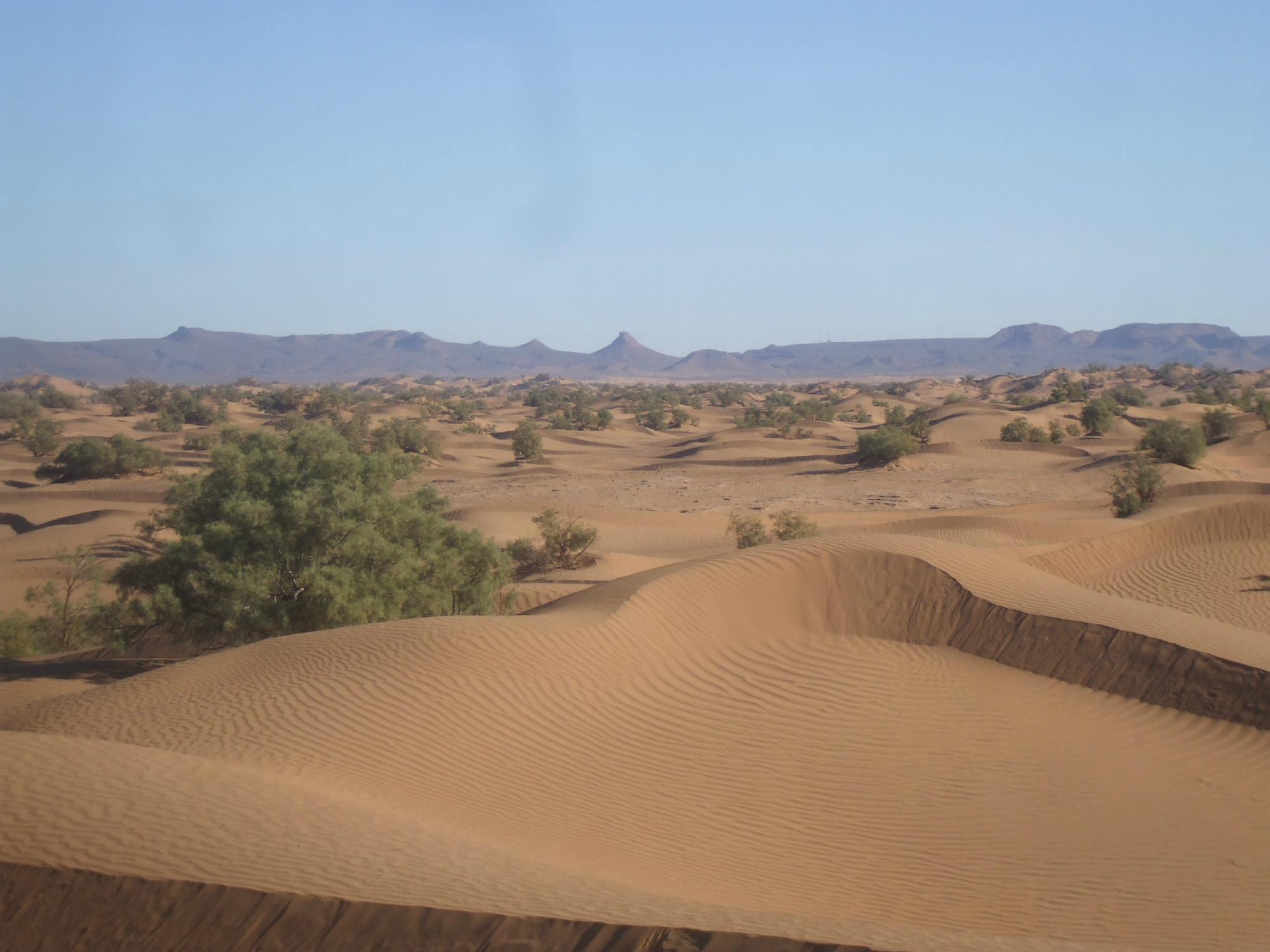 Discovering South Morocco (Zagora) - 2021 Alles Wat U Moet Weten ...