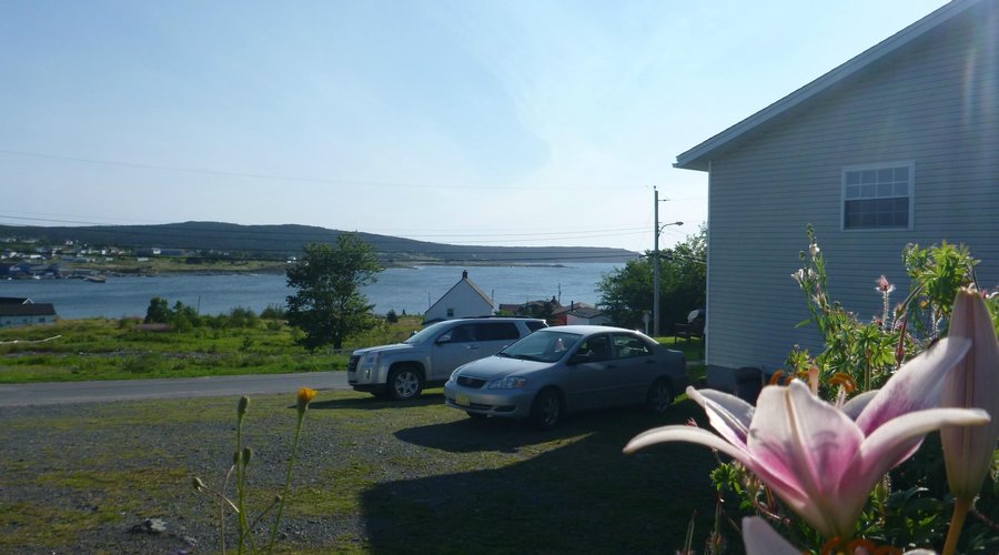 View to Witless Bay