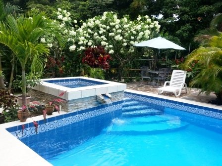 Coconut Lodge pool surrounded by flora