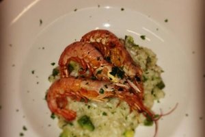 Cibo