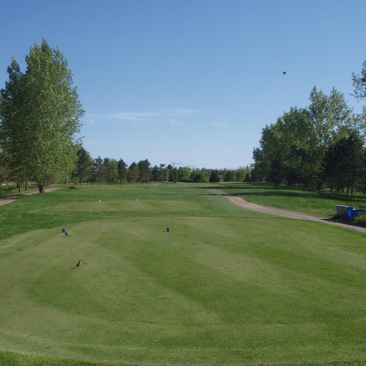 Cedar Green Golf Course - All You Need to Know BEFORE You Go (with