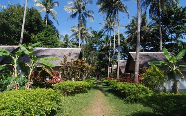 the room in a garden