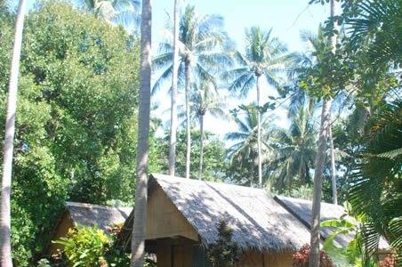 bamboo room
