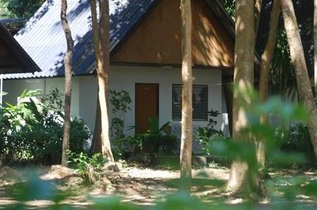 bungalows with real nature
