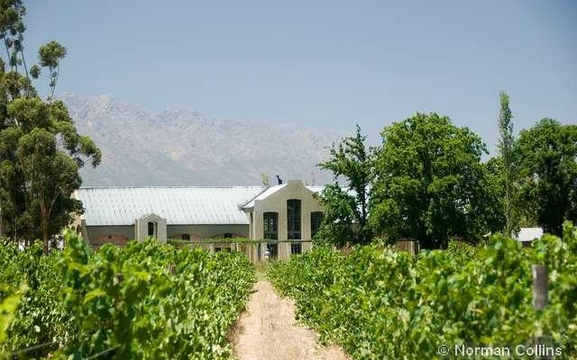 Saronsberg Cellar