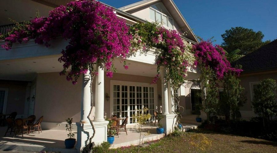 Bougainville-covered terraces and back porch