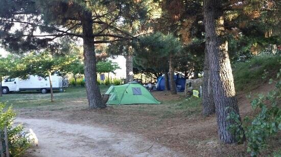 Camping