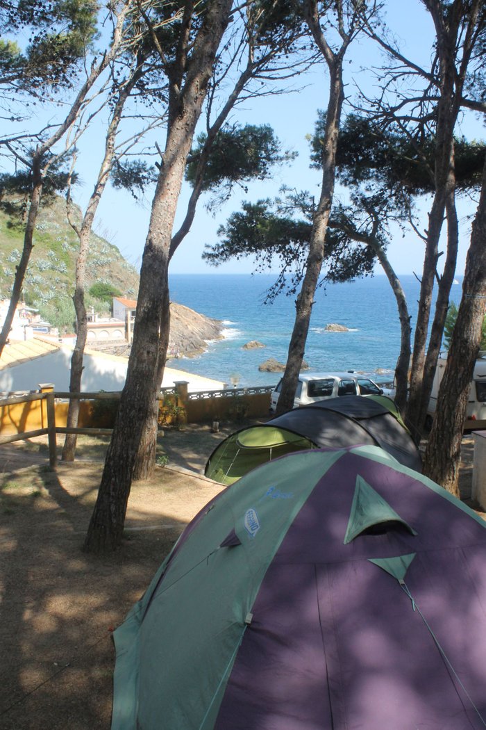 Imagen 3 de CAMPING PALAMOS