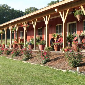 Enjoy the 120 foot porch at Buffalo River Farm