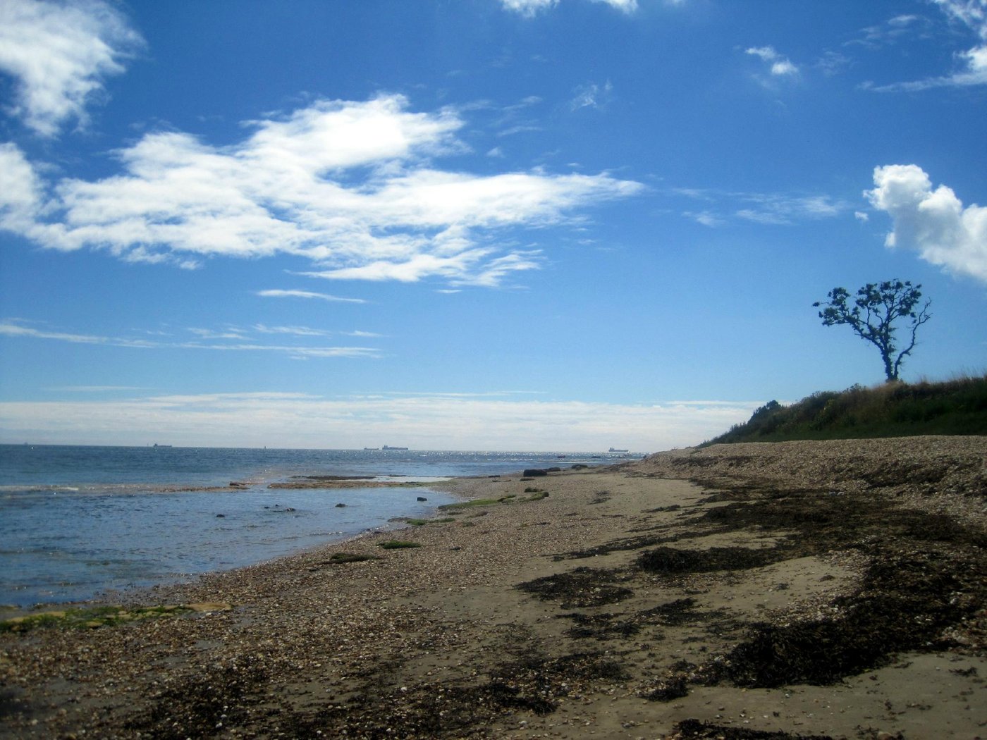 Warner Hotels Bembridge Coast Pool: Pictures & Reviews - Tripadvisor
