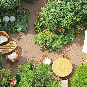 jardin / garden