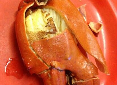 king crab claw