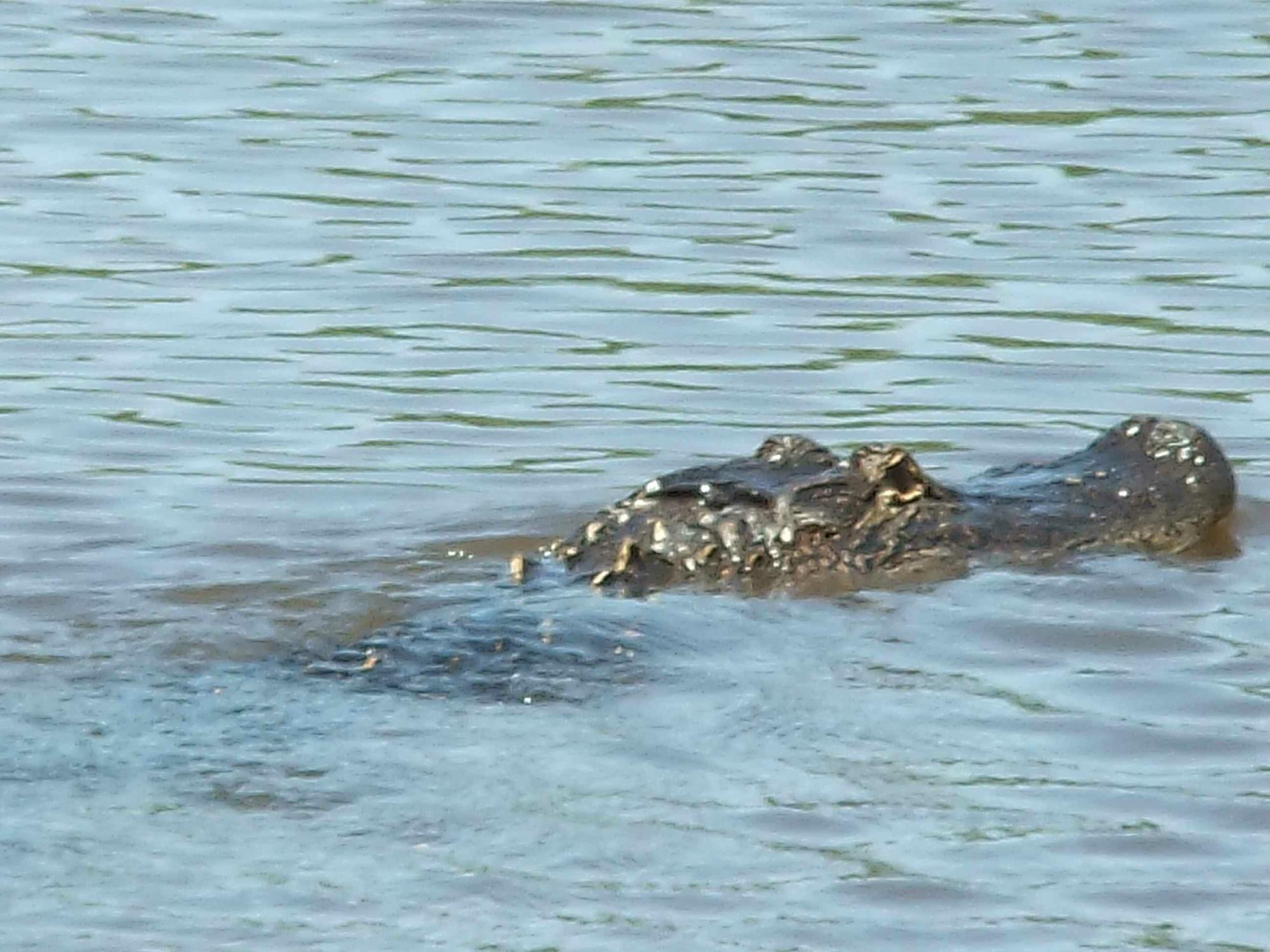 Neches River All You Need to Know BEFORE You Go 2024