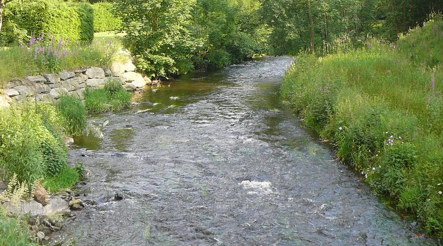 De rivier de Salm aan het terras.