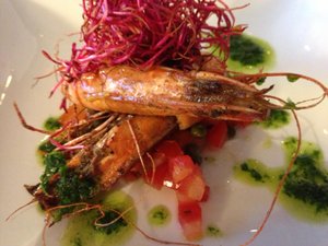 Cibo