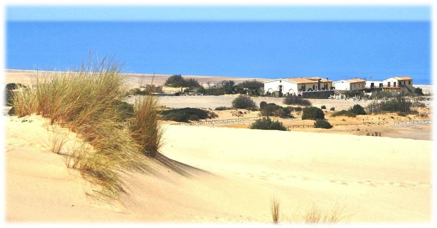 Vista dalle dune