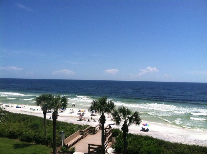 PALMS AT SEAGROVE - Condominium Reviews (Seagrove Beach, FL)