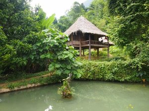 Phòng & Phòng Suite