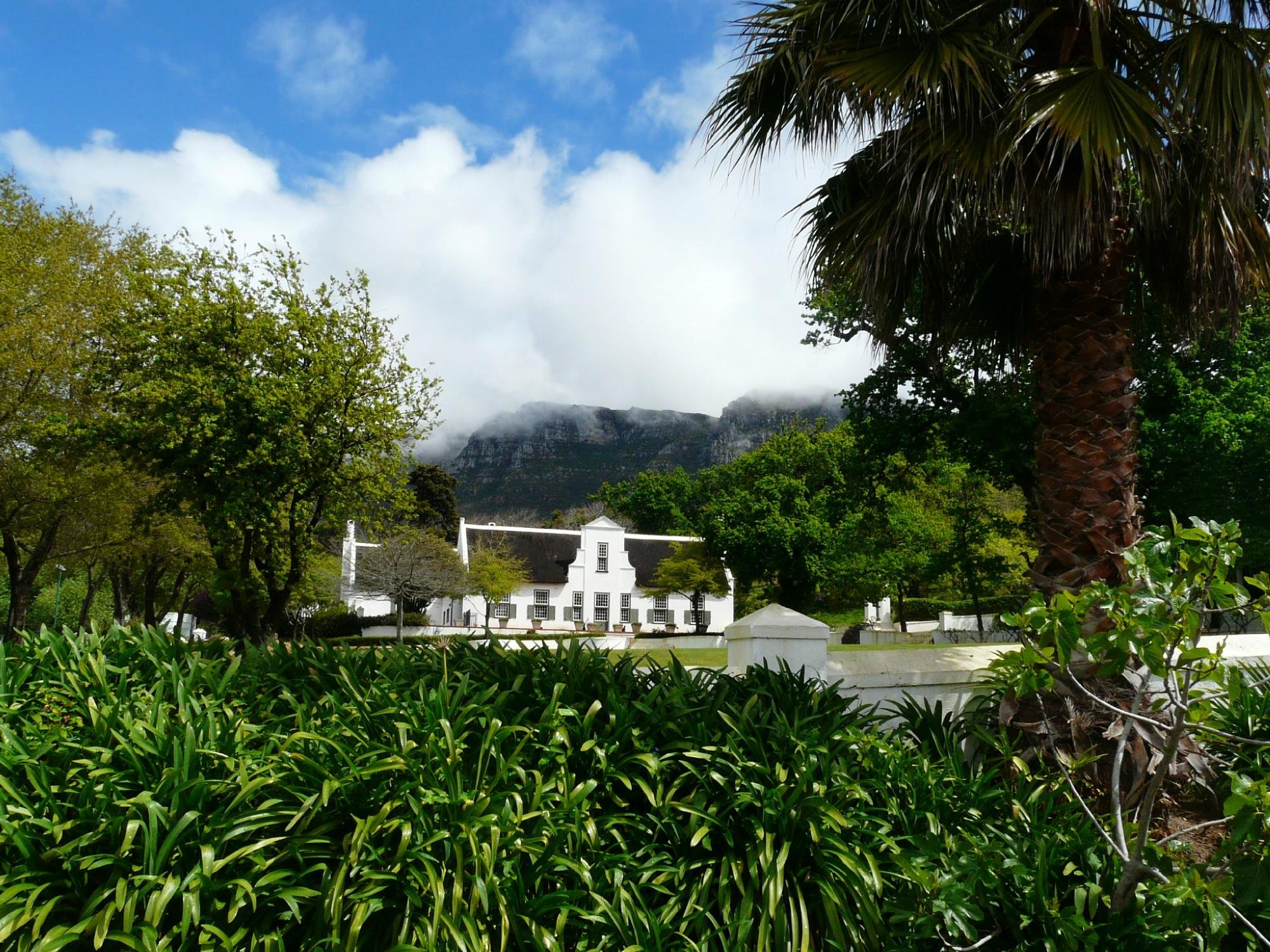 Constantia top wine tasting