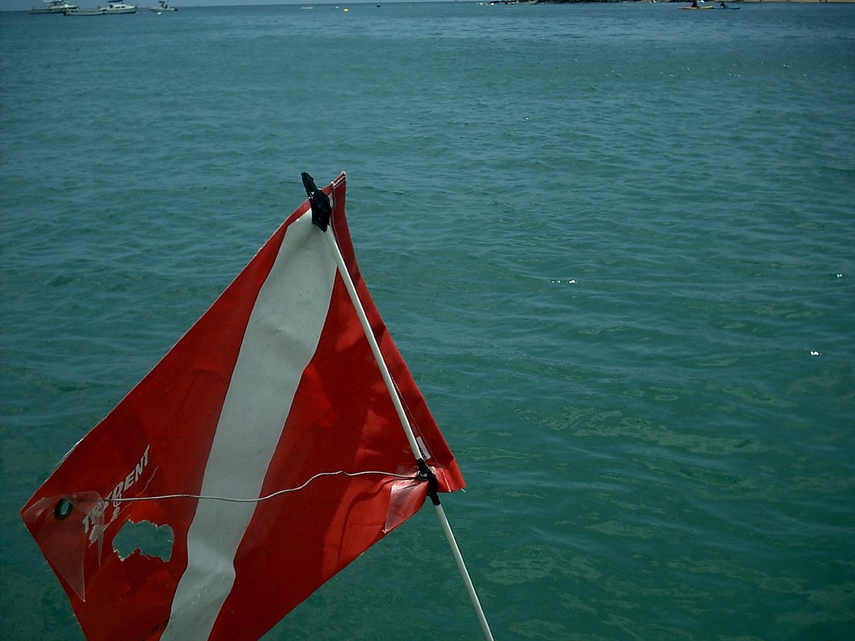 puerto-rico-technical-diving-center-rincon-atualizado-2022-o-que