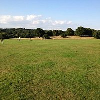 Weald Country Park Belvedere Field end