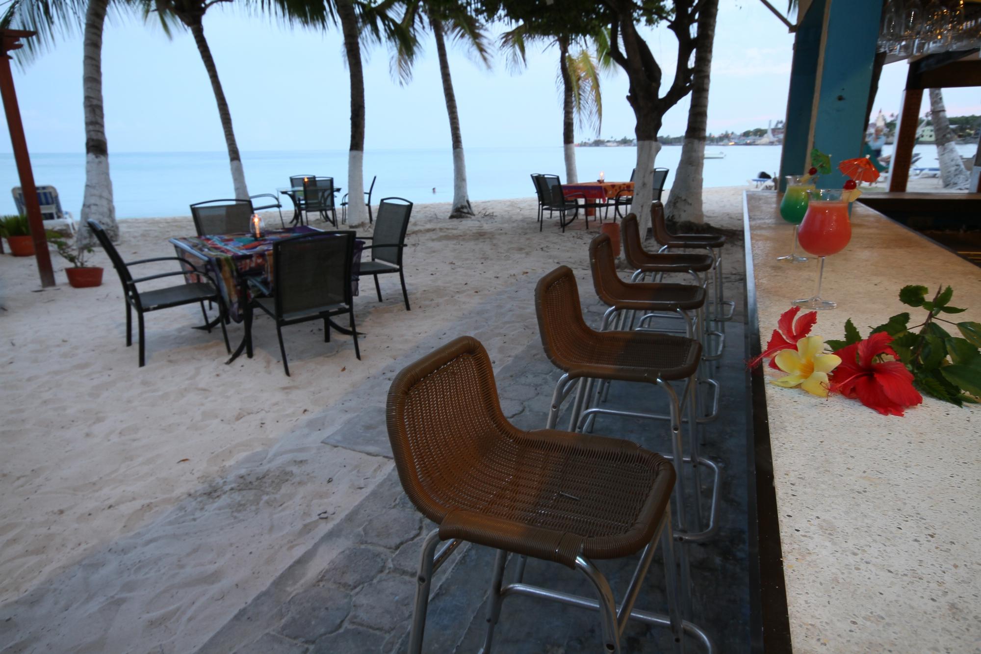 Hotel photo 13 of Cocoplum Beach Hotel.