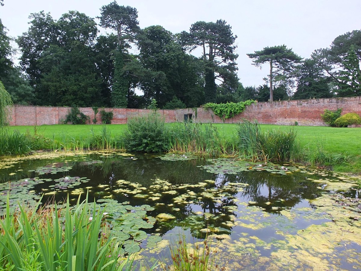 Sutton Park (2025) - All You Need to Know BEFORE You Go (with Reviews)