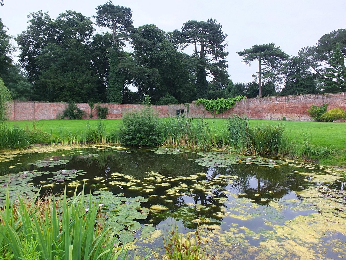 Sutton Park (2025) - All You Need to Know BEFORE You Go (with Reviews)