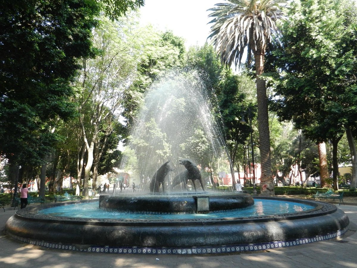 Jardín Centenario (Mexico City) - All You Need to Know BEFORE You Go
