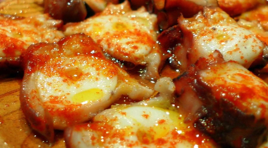 pulpo