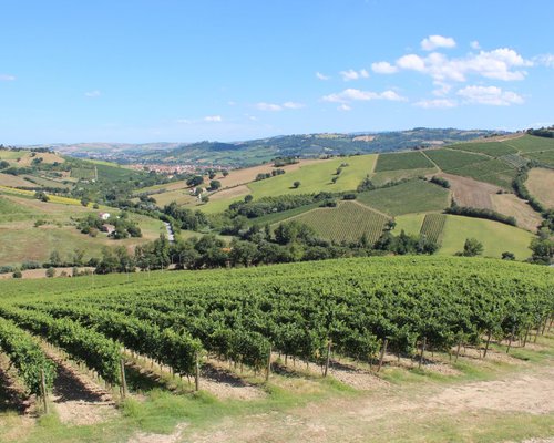 THE 5 BEST Things to Do in Poggio San Marcello - 2024 (with Photos ...