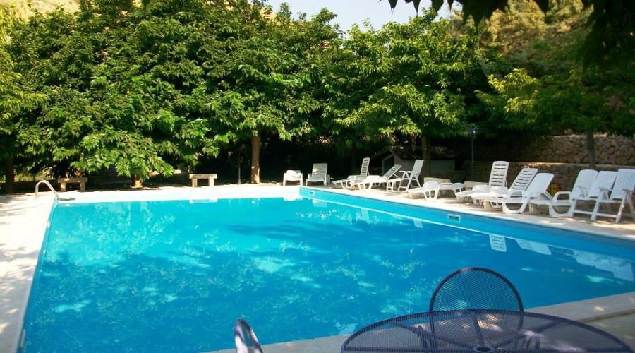 Piscina alberata