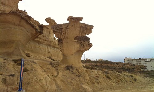 Amazing nature carvings